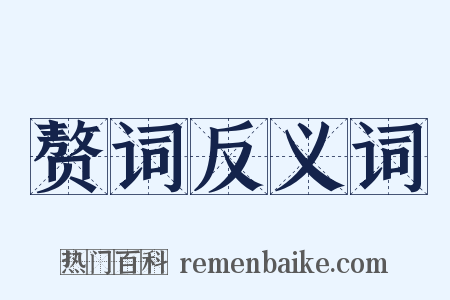 赘词反义词是什么意思的图片